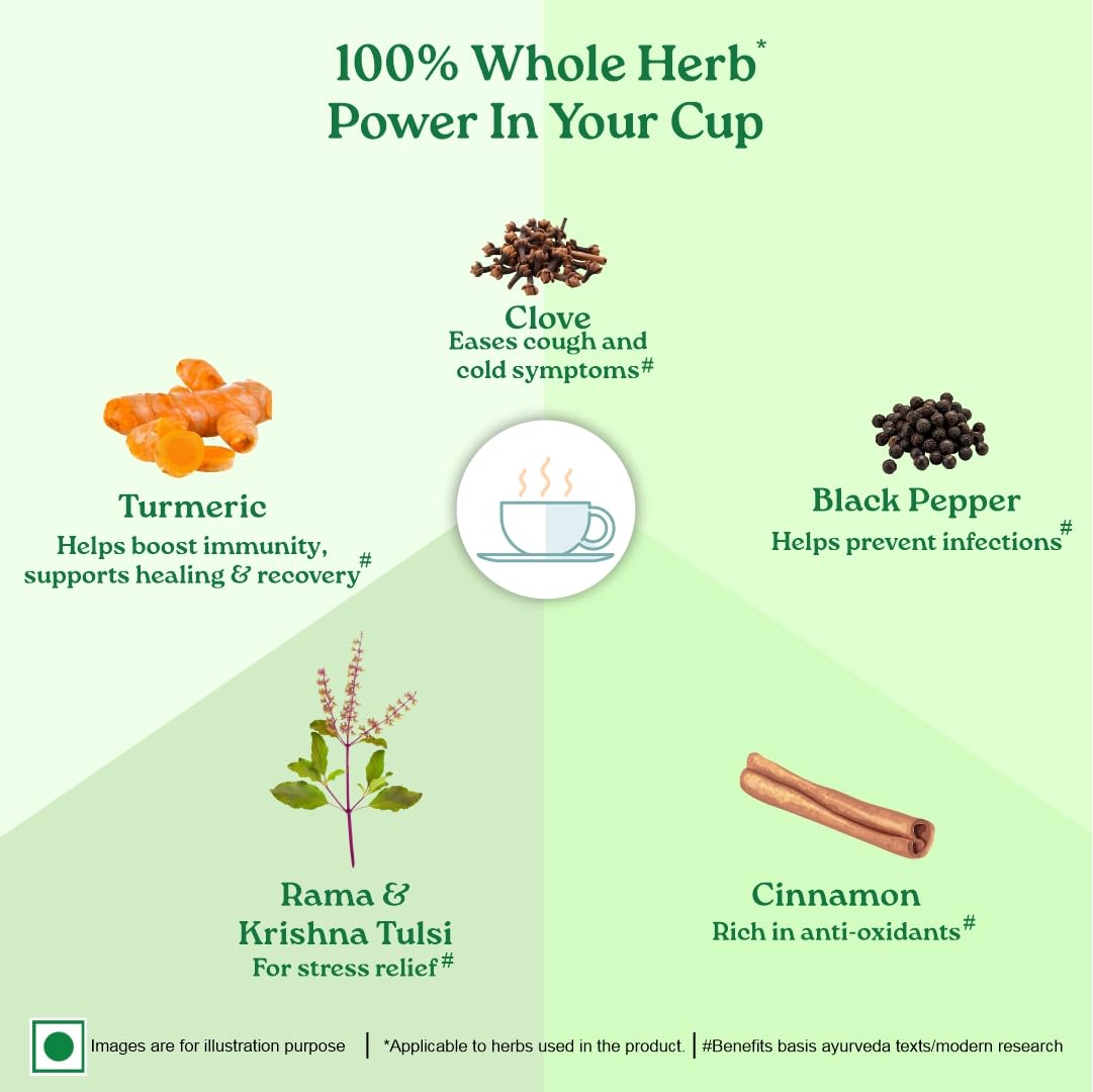 Organic India Tulsi Ginger Turmeric Green Tea 25 Infusion Bag