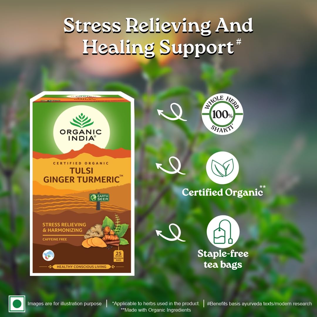 Organic India Tulsi Ginger Turmeric Green Tea 25 Infusion Bag