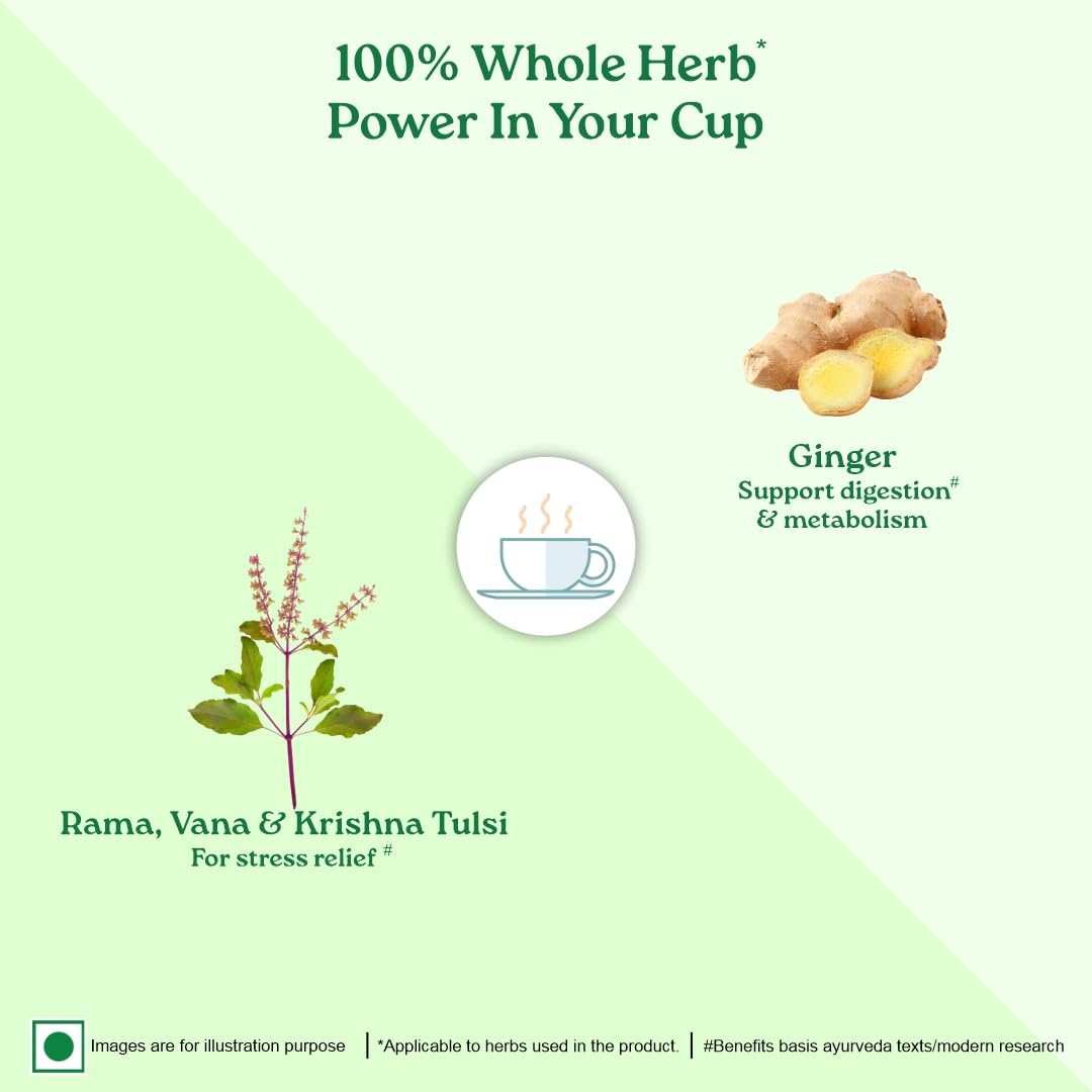 Organic India Tulsi Ginger Green Tea 25 Teabags,50 Teabgas & 100g Tin