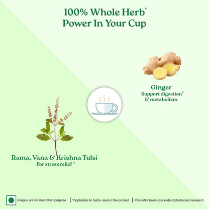 Organic India Tulsi Ginger Green Tea 25 Teabags,50 Teabgas & 100g Tin