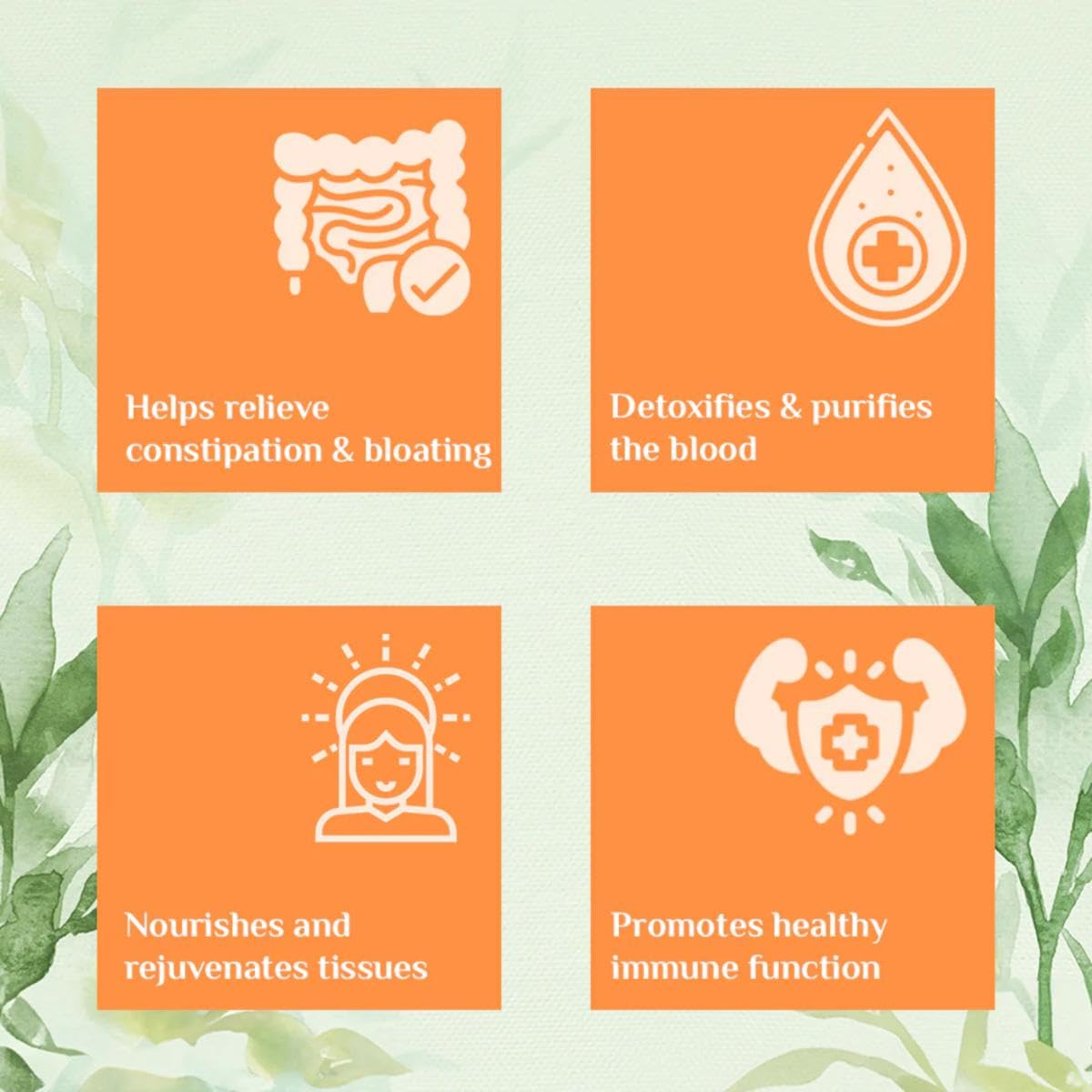 Organic India Triphala Capsule & Powder to Purify Blood & Cure Digestion