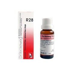 Dr Reckeweg Homoeopathy R28 Dysmenorrhea And Amenorrhea Drops 22 ml