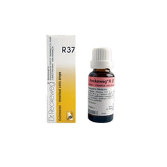 Dr Reckeweg Homoeopathy R37 Intestinal Colic Drops 22 ml