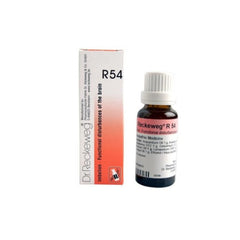 Dr. Reckeweg Homöopathie R54 Gedächtnistropfen 22 ml