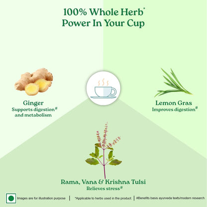 Organic India Tulsi Green Tea Lemon Ginger 25 Infusion Bag,50 Teabag & 100 Tea Bag