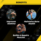 Himalaya Herbal Quista PRO Schokoladenpulver