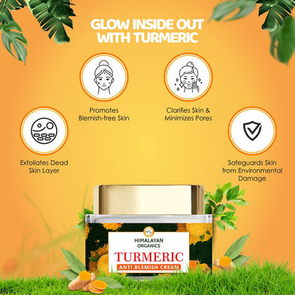 Himalayan Organics Turmeric Brightening Cream 50gm