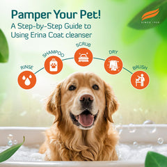 Himalaya Erina Pet Coat Cleanser für routinemäßiges Baden, Flüssigkeit mit Minzduft