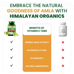 Himalayan Organics Vitamin C 1000mg Vegetarian 120 Tablets