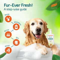 Himalaya Erina EP Hunde- und Katzenshampoo 200 ml