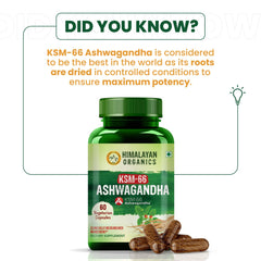 Himalayan Organics Ashwagandha 1000mg Vegetarian Capsules