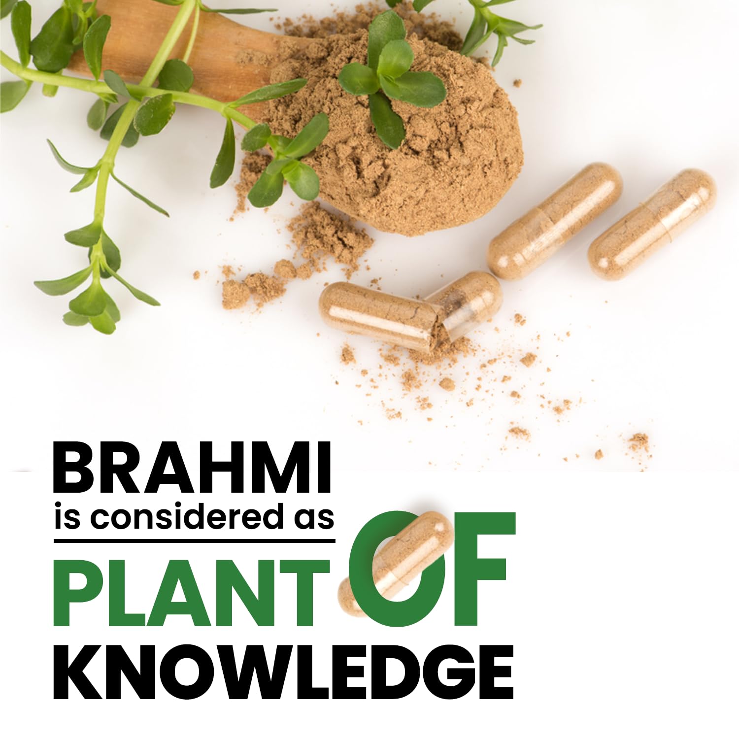 Himalayan Organics Brahmi Vegetarian 120 Tablets