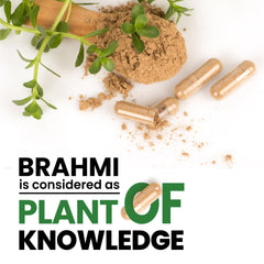 Himalayan Organics Brahmi-Tabletten, reine Kräuter für geistiges Wohlbefinden, verbessert die Wachsamkeit (120 Tabletten)