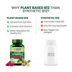 Himalayan Organics Plant Based Vitamin B12 Vegetarian 60 Capsules