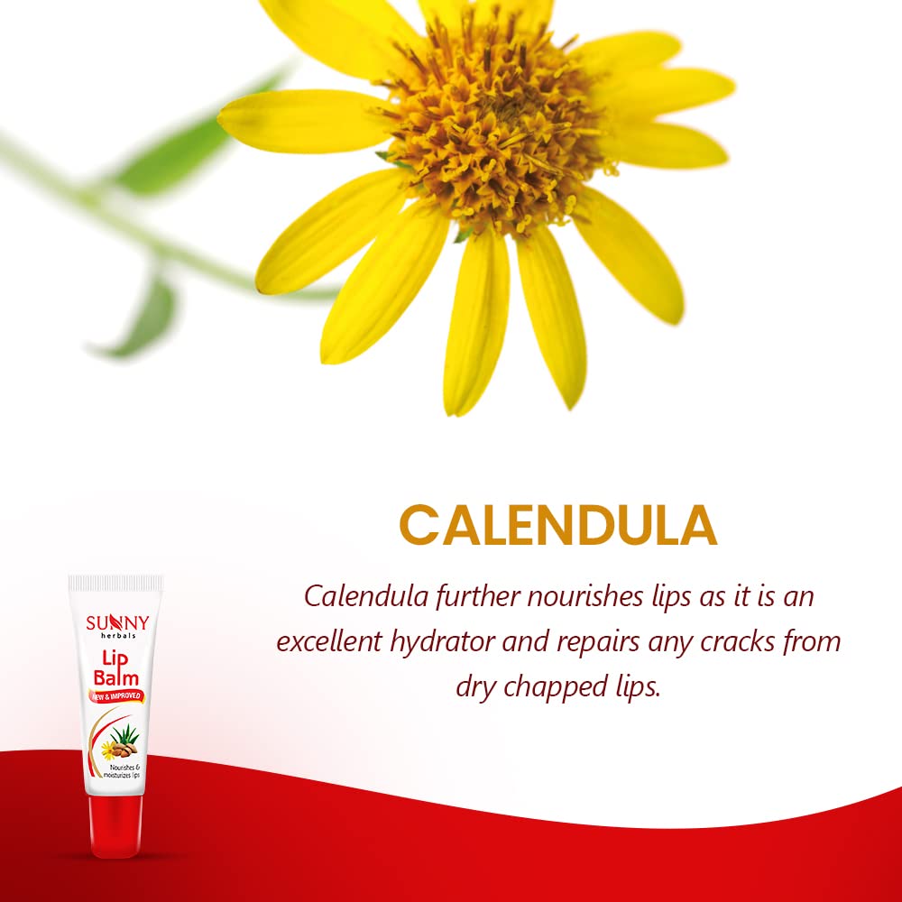 2 X Bakson's Sunny Herbals Lip Balm 10gm