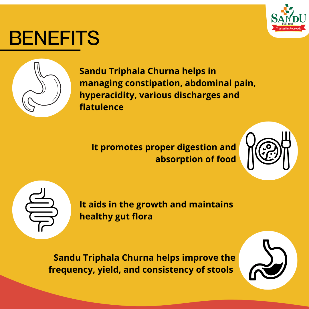 Sandu Ayurvedic Triphala Churna Powder