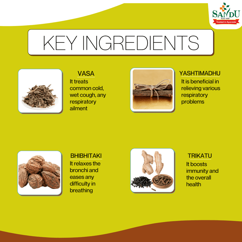 Sandu Ayurvedic Vasajeevani Liquid