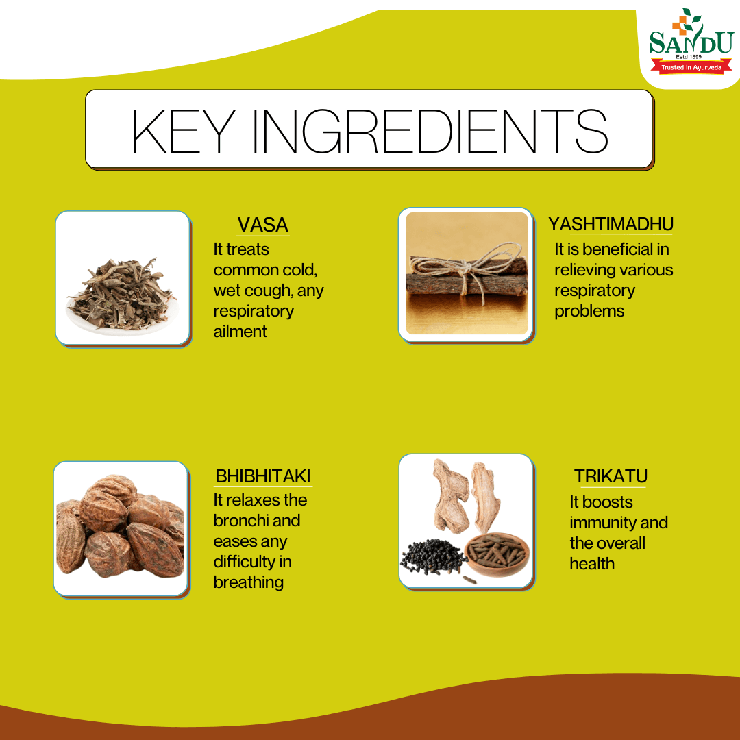 Sandu Ayurvedic Vasajeevani Liquid