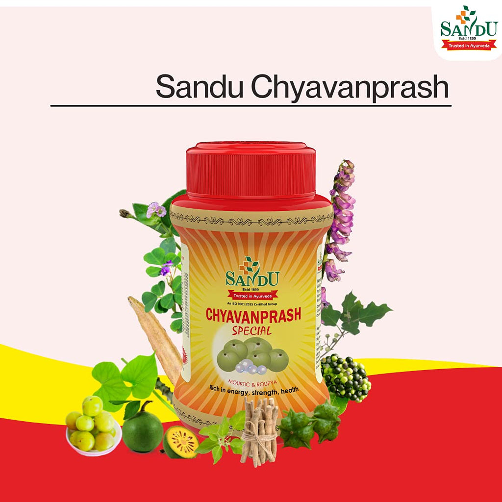 Sandu Ayurvedic Chyavanprash
