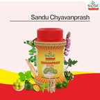 Sandu Ayurvedic Chyavanprash