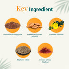 Himalaya Herbal Tentex Royal 10 Kapseln