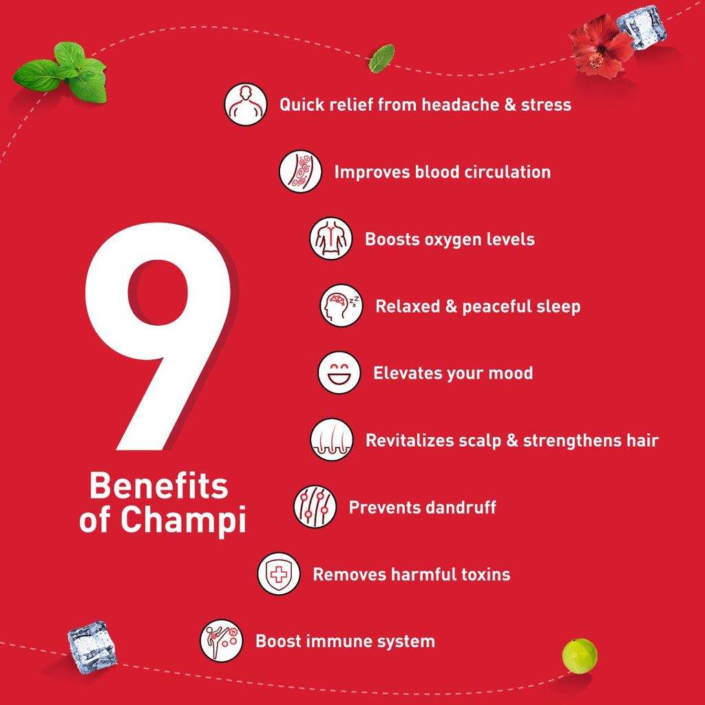 Himani Ayurvedisches Navratna Ayurvedisches Kräuter-Haaröl