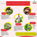 Sandu Ayurvedic Chyavanprash