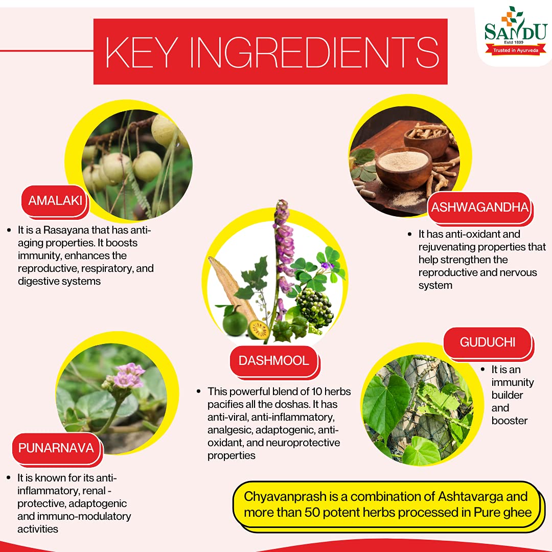 Sandu Ayurvedic Chyavanprash