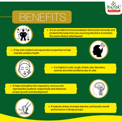Sandu Ayurvedic Makarprash Chyavanprash