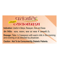 Patanjali Ayurvedic Special Chyawanprash