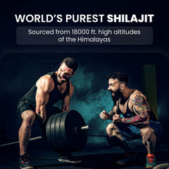 Himalayan Organics Himalayan Shilajit/Shilajeet 20g