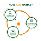 Himalayan Organics Alpha Lipoic Acid Vegetarian 60 Tablets