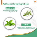 Himalaya Herbal Ayurvedic Personal Care Охлаждающий шампунь против перхоти с мятой до 100% без перхоти и зуда