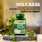 Himalayan Organics Tulsi Vegetarian 120 Tablets