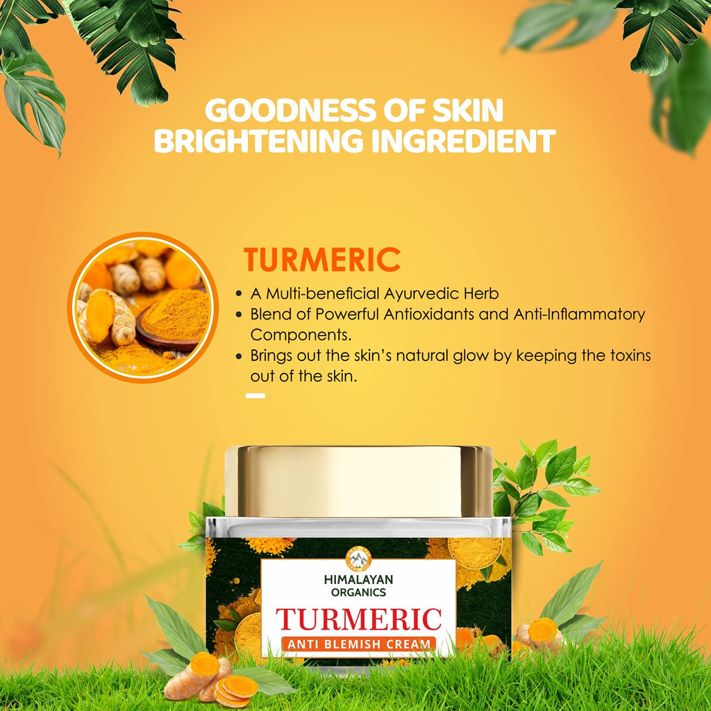Himalayan Organics Turmeric Brightening Cream 50gm