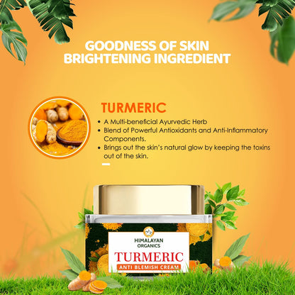 Himalayan Organics Turmeric Brightening Cream 50gm