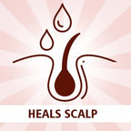 Bakson's Sunny Herbals Shikakai mit Aloe Vera Lustre-n-Silky Haarshampoo