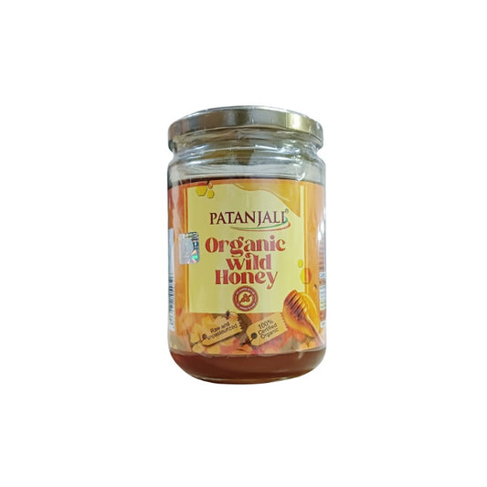 Patanjali Ayurvedic Organic Wild Honey