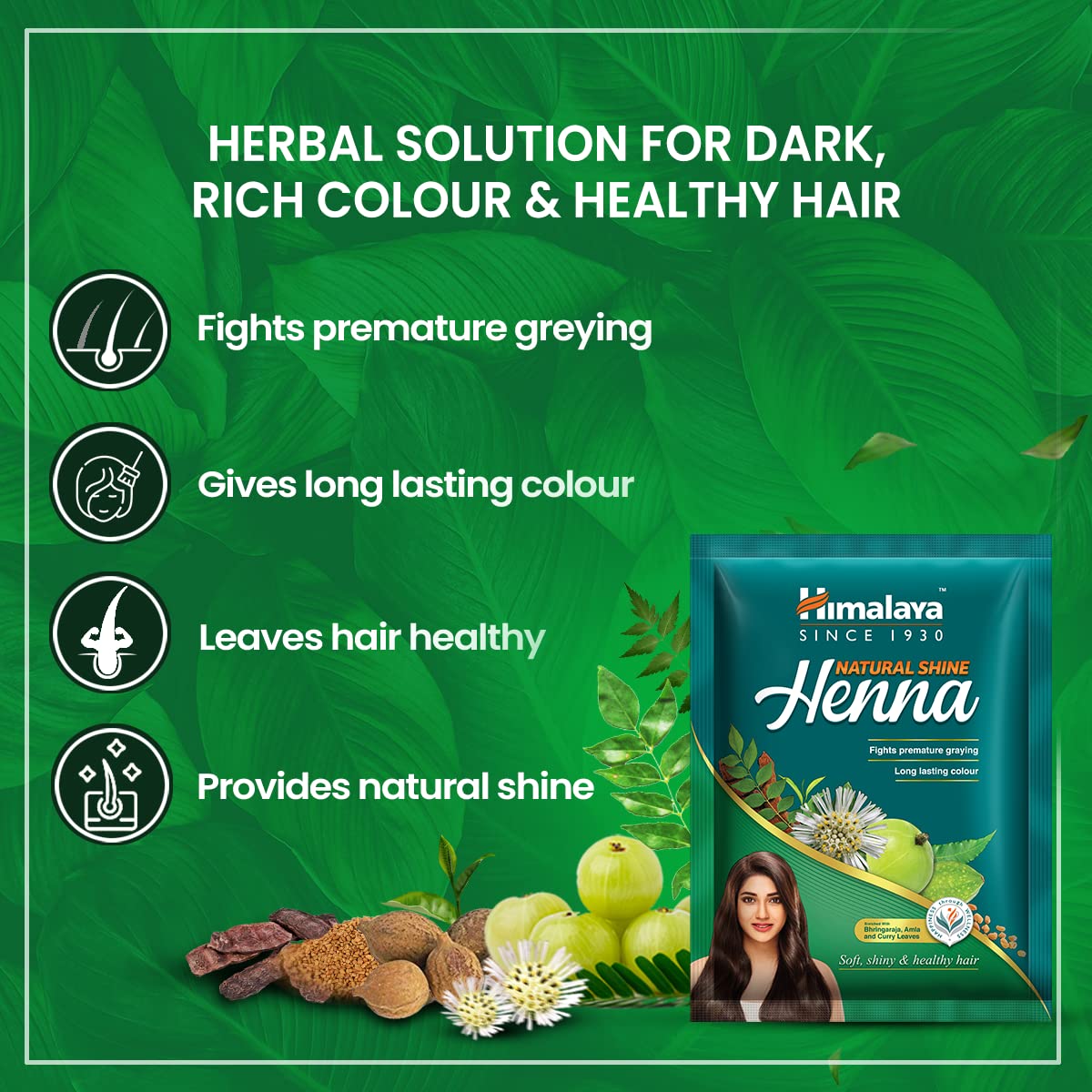 Himalaya Herbals Natural Shine Henna Hair Powder