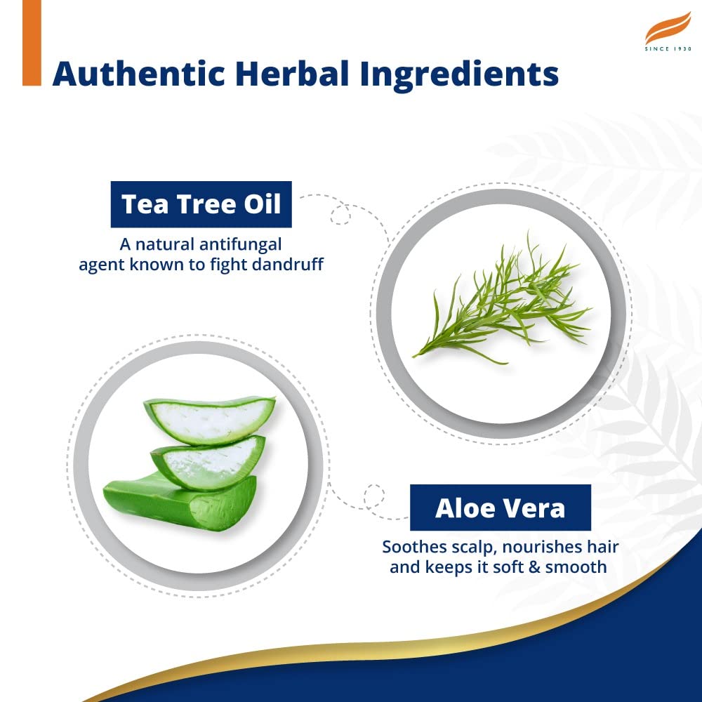 Himalaya Herbal Ayurvedic Шампунь против перхоти с чайным деревом для личной гигиены, до 100% свободный от перхоти