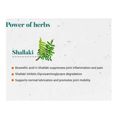 Himalaya Pure Herbs Shallaki Bone & Joint Wellness 60 Tablets