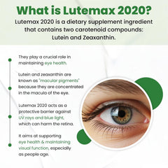 Himalayan Organics Plant Based Eye Care Lutemax 2020 Vegetarian 60 Tablets