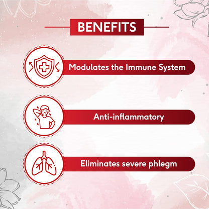 Sri Sri Tattva Ayurvedic Kabasura Kudineer 500mg 60 Tablet