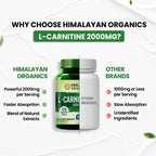 Himalayan Organics L Carnitine 2000mg/Serve Vegetarian 120 Tablets