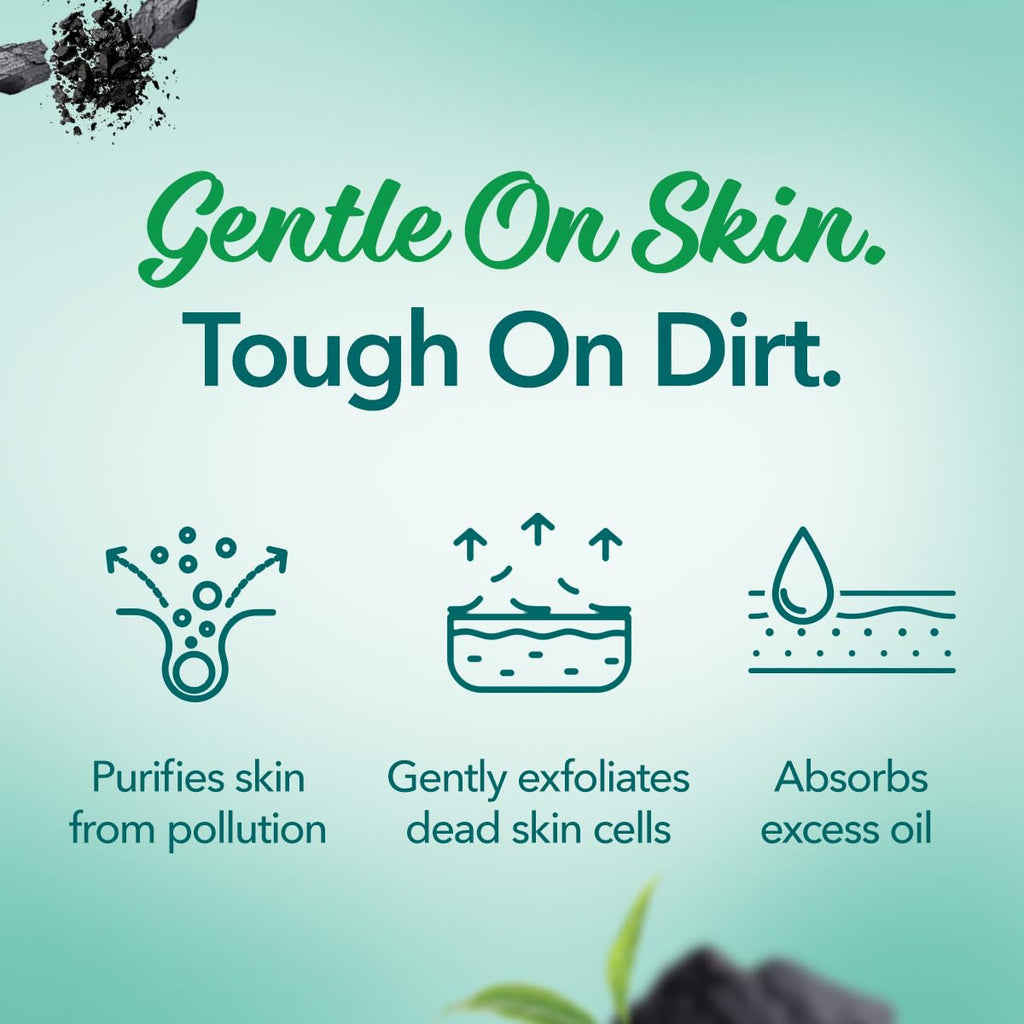 Himalaya Herbals Pollution Detox Gesichtspackung mit Aktivkohle