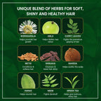 Himalaya Herbal Аюрведический уход за собой Мягкие, блестящие и здоровые волосы Натуральный блеск Порошок хны