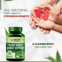 Himalayan Organics Plant Based Kidney Support Vegetarian 60 Capsules