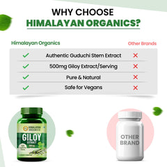 Himalayan Organics Giloy Extract 500mg Vegetarian 120 Tablets