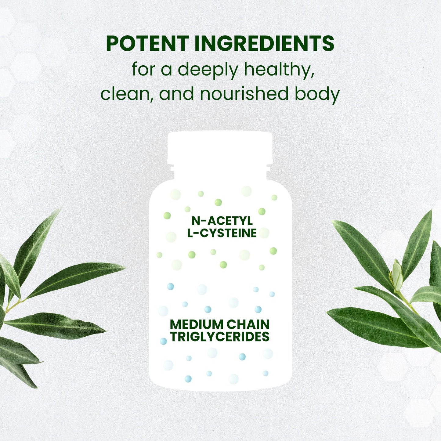 Himalayan Organics N Acetyl L Cysteine 500mg Serving Vegetarian 60 Capsules