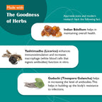 Himalaya Ayurvedic Herbal Healthcare Септилин 60 таблеток